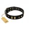 "De Luxe" FDT Artisan Black Leather Labrador Collar with Old Bronze-like Plates and Studs