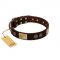 "Bow-Wow Effect" FDT Artisan Brown Leather Labrador Collar with Plates and Ornate Studs