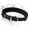 Extra Durable Leather Collar With Padding For Labrador