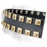 Studded Walking Leather Labrador Collar