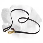 Extreme walking Labrador leash with Strong brass snap hook
