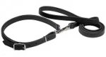 "Police / hunting" dog leash and collar (combo)