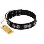 "Magic Amulete" Handcrafted FDT Artisan Black Leather Labrador Collar with Chrome-Plated Shields