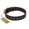 "Stars of Glory" FDT Artisan Brown Leather Labrador Collar for Comfortable Walking