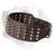 3 Inch Leather Labrador Collar Decorated with Spikes