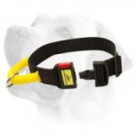 Easy Handling Nylon Collar For Labrador