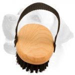 Labrador Bristle Brush for Everyday Grooming