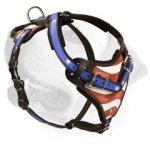 Glory of the USA Handpainted Leather Harness for Labrador