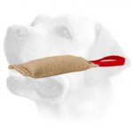 Puppy Training Jute Labrador Bite Tug