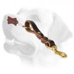 Braided Leather Labrador Leash With Brass Fittings