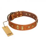 "Sand of Time" FDT Artisan Tan Leather Labrador Collar with Old Bronze-like Studs and Plates