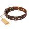 "High Fashion" FDT Artisan Embellished Brown Leather Labrador Collar