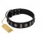 "Silver Spikes" Exclusive FDT Artisan Black Leather Labrador Collar