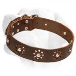 Studded Black Leather Dog Collar for Labrador