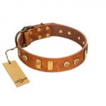 "Egyptian Script" FDT Artisan Tan Leather Labrador Collar with Plates and Small Studs