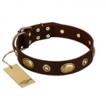 "Hebe's Jewel" FDT Artisan Brown Genuine Leather Labrador Collar