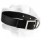 Great Identifying Dog Collar For Labrador With Name Tag