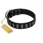 "Black Prince" Handmade FDT Artisan Black Leather Labrador Collar with Silver-Like Adornments