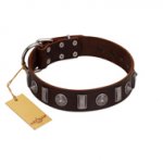 "Spiky Way" FDT Artisan Brown Leather Labrador Collar with Silver-Like Decorations