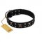 "Black Jack" Stylish Handmade FDT Artisan Black Leather Labrador Collar