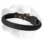 Thick Decorated Leather Collar For Labrador With Fur Protection Plate