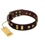 "Lord of Dogs" FDT Artisan Brown Leather Labrador Collar with Old Bronze-like Dotted Studs and Tiles