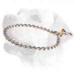 Stainless Steel Choke Labrador Collar with Quality Label 1/9 inch (3 mm)