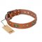 "Stunning Dress" FDT Artisan Tan Leather Labrador Collar with Old Bronze Look Plates and Studs