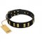 "Glorious Night" FDT Artisan Decorated Black Leather Labrador Collar