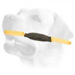 Leather Tug for Young Dog Training