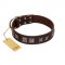 "Needle Stories" Modern FDT Artisan Brown Leather Labrador Collar with Square Engraved Plates and Four-Point Stars
