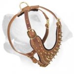 Glamour Gold Shining Spikes Leather Harness For Labrador