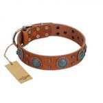 "Blue Sands" FDT Artisan Tan Leather Labrador Collar with Silver-like Studs and Round Conchos with Stones