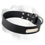 Leather Labrador collar with id tag