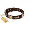 "Sense of Freedom" FDT Artisan Brown Leather Labrador Collar with Old Bronze-Plated Studs and Plates