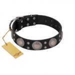 "Starry Sky" Trendy FDT Artisan Black Leather Labrador Collar with Large Brooches