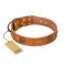 "Sun Beams" FDT Artisan Tan Leather Labrador Collar with Decorations