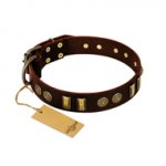 "Golden Elegance" FDT Artisan Brown Leather Labrador Collar with Old Bronze-like Decorations