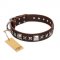 "Perfect Impression" FDT Artisan Brown Leather Labrador Collar with Silvery Square Studs