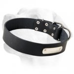 Labrador Classy Leather Collar With ID Tag