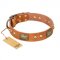 "Saucy Nature" FDT Artisan Tan Leather Labrador Collar with Old Bronze Look Plates and Skulls