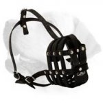 Maxi Air Everyday Leather Muzzle For Labrador