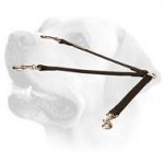 Special 3 Dogs Walking Leash