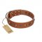 "Silver Age" Fashionable FDT Artisan Tan Leather Labrador Collar with Silver-Like Studs