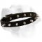 Fashionable Leather Labrador Collar with Fancy Nickel Spikes