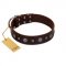 "Pure Sensation" Exclusive FDT Artisan Brown Leather Labrador Collar with Fancy Brooches and Studs