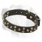 Soft leather Labrador collar with brass pyramids for walking and training