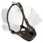 Labrador Heavy Duty Leather Muzzle With Good Air Ventilation