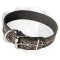 Fashionable Leather Handpainted Collar For Labrador