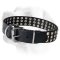 Studded Leather Labrador Collar for Everyday Usage